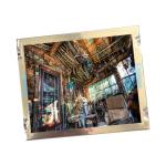 Mitsubshi 6.5 inch AA065VD01 LCD panels VGA With wide viewing angle LCD displays for sale