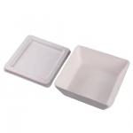 Custom Biodegradable Lunch Box Sustainable Sushi Burger Salad Packaging Solution