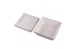 China Custom Biodegradable Lunch Box Sustainable Sushi Burger Salad Packaging Solution supplier