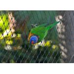 Bird 7x19 Aviary Wire Netting , Stainless Steel Ferrule Rope Mesh for sale