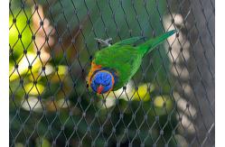 China Protection Parrot Aviary Mesh Environmental Enclosure Rust Resistant supplier