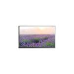 Hot Sell 15.6 inch N156HGE-EBL 1920*1080 220 cd/m2 LCD Panel for sale