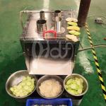 Commercial Vegetable Slicer Machine Electric Carrot Slicer Machine Onion Cutting Machine