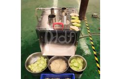 China Commercial Vegetable Slicer Machine Electric Carrot Slicer Machine Onion Cutting Machine supplier