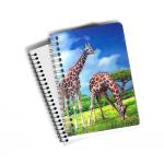 Cartoon Pet Hardcover 3d Lenticular Notebook With Spiral Binding For Student Diary for sale