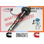 Engineering Machinery QSK19 Truck Engine System Accessories 0986435615 Diesel Fuel Injector