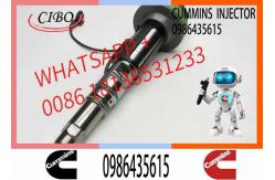 China Engineering Machinery QSK19 Truck Engine System Accessories 0986435615 Diesel Fuel Injector supplier