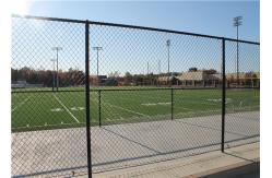 China 1*1 1.2m Farm Field Galvanized Steel Wire Chain Link Fabric Fencing supplier