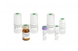 China Human Seminal Fructose Test Kit / Fructose Assay Kit Enzymatic Method Test CE Approved supplier