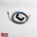 PR6423/018-010 CON021  EMERSON  PLC  Module