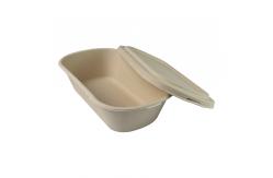 China Biodegradable Disposable Sugarcane Bagasse takeaway Containers Box supplier