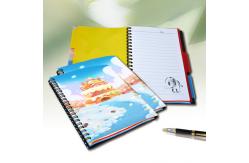 China Custom 3D Lenticular Printing Card Lenticular Plastic Sheet Lenticular Printing Books supplier