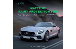 China Pressure Sensitive Adhesive Matte Finish Ppf All Vehicle Makes And Models Temperature Resistant supplier