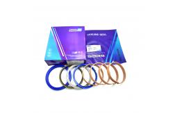 China Hydraulic Cylinder Seal Kit DX140 ARM Seal Kit For Industrial Sealing Solutions supplier