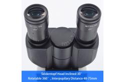 China OPTO-EDU A12.2601-A Laboratory Biological Microscope Binocular Achromatic supplier