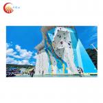 Gym Park Home Wall Climbing Holds Speed Outdoor Rock Climbing Holds for sale