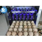 Automatic Ink Jet Egg Coding Machine With 6 Print Heads Easy Operation