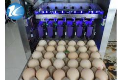 China Automatic Ink Jet Egg Coding Machine With 6 Print Heads Easy Operation supplier