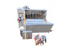 China pig dehairer and scalding machine pig dehairing machine pig hair dehairer supplier