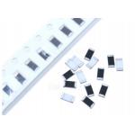 CVD 2.5*5mm Chip 100 Ohm 10 Watt Resistor ODM