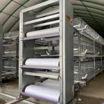 Automatic Poultry Farm Egg Layer Chicken Cage System 65 X 62.5 X 44 CM for sale