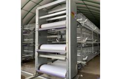 China 3/4/5 Layers Poultry Chicken Cage Complete Egg Chicken Layer Breeding Equipment supplier