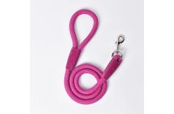 China Nylon Easy Walk Dog Leash PSM Dog Traction Rope For Small Teddy supplier