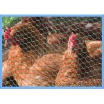 PVC Coated Heavy Duty Chicken Wire Stainless Steel Netting Mesh For Farms for sale