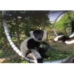 Monkey tiger enclosure mesh zoo Animal enclosure mesh netting ferruled cable netting mesh for sale