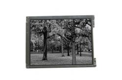 China LTM12C289T 12.1 inch TFT-LCD Screen Display panel supplier