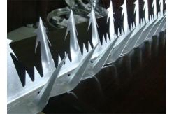 China Powder Coating Big Anti Climb 2mm Wall Security Wall Spikes supplier
