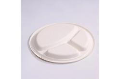 China Biodegradable Disposable Bagasse Three Compartment Paper Plates supplier