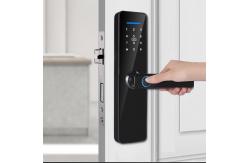 China Biometric Fingerprint Wifi Lock Tuya Zigbee TTlock Smart Digital Door lock supplier