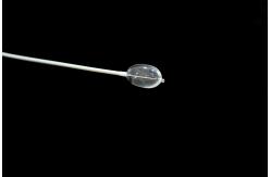 China Surface Anti Biodegradation Balloon Catheter Used For Human Dilation supplier