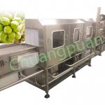 2-9T/H Filling Speed Coconut Processing Machine for sale