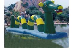 China Giant Green Dragon Obstacle Course, Inflatable Water Challenge sports supplier