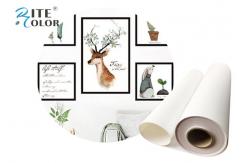 China Inkjet Printing Polyester Glossy Art Canvas Rolls Waterproof Eco Solvent 260gsm supplier