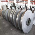 DIN 1.4037 AISI ASTM Stainless Steel Strip Coil SUS301 1mm-2000mm Width