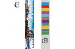 China Deep Images 3D Dolphin Cartoon Scale Lenticular Photo Printing / PET Plastic Straight Ruler supplier