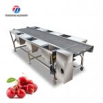 Customized Vegetable Processing Machine Fruit Sorting Table for sale