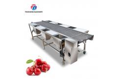 China Customized Vegetable Processing Machine Fruit Sorting Table supplier