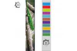 China High Definition Motion 3D Lenticular Ruler Animal Design For Students supplier