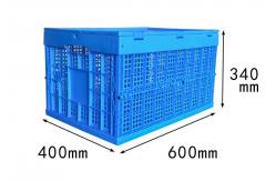 China Hard Folding Plastic Storage Crate / Ventilated Eggs Square Plastic Crates supplier