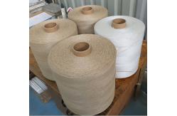 China 4200D Twisted 2 Ply Sausage Loop PP Twine Polypropylene Thread Fibrilated supplier