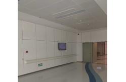 China 4*8 Feet 8mm HPL Interior Wall Cladding Antibacterial Board supplier