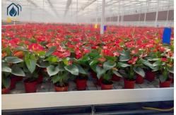 China Commercial Greenhouse Ebb And Flow Rolling Benches Hydroponic Equipment Flood Table supplier
