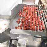 Industrial Tomato Paste Making Machine Automatic Ketchup Processing Plant for sale