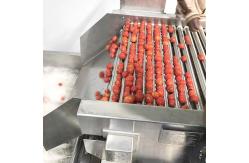 China ISO9001 Fresh Tomato Processing Line For Concentrated Paste supplier