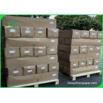 260GSM Thickness Waterproof Paper PET High Glossy Photo Paper Roll for sale