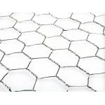 HDG Plaster Reinforcement Mesh 0.9mm Diameter Plastering Chicken Wire Mesh for sale